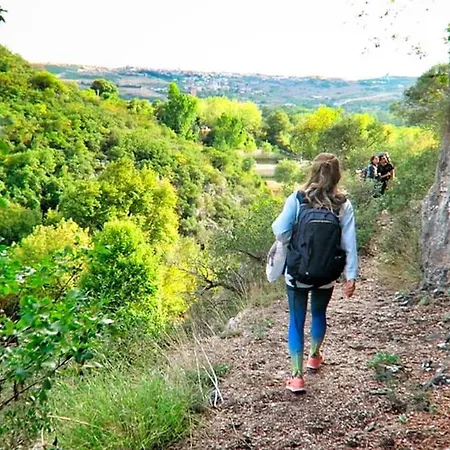 Stylish 2br And 3br Izmit Apartments- Chic & Cozy *