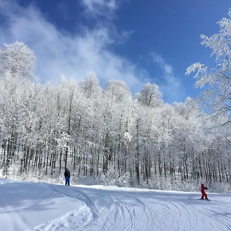 Stylish 2br And 3br Izmit Apartments- Chic & Cozy דירה *