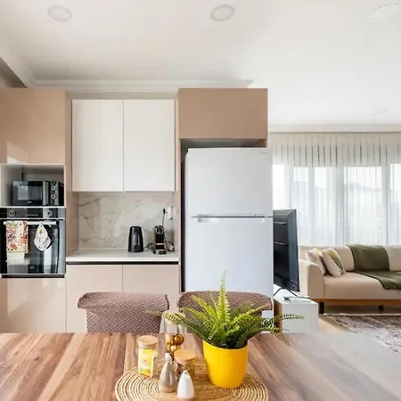 Stylish 2br And 3br Izmit Apartments- Chic & Cozy קוג'לי