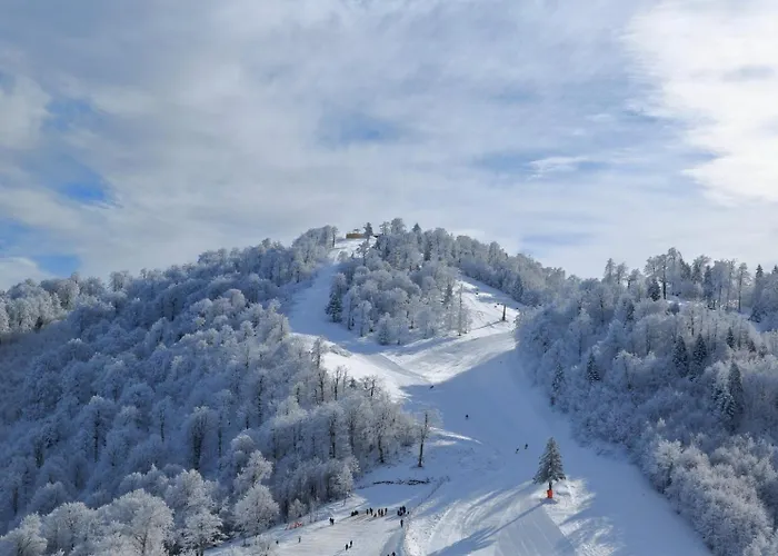 Apartamento Stylish 2br And 3br Izmit Apartments- Chic & Cozy Kocaeli