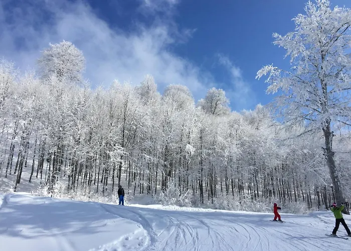 Stylish 2br And 3br Izmit Apartments- Chic & Cozy Apartamento *